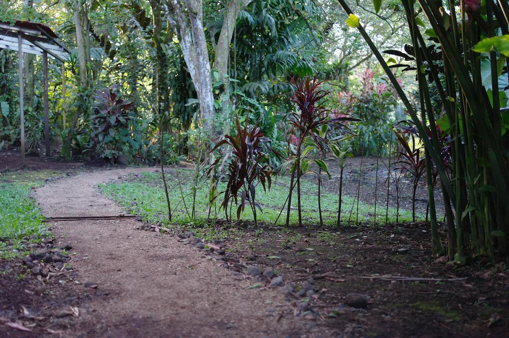 Finca Verde Lodge Bujagua Buitenkant foto