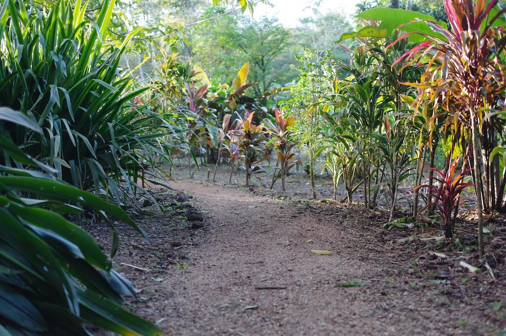 Finca Verde Lodge Bujagua Buitenkant foto
