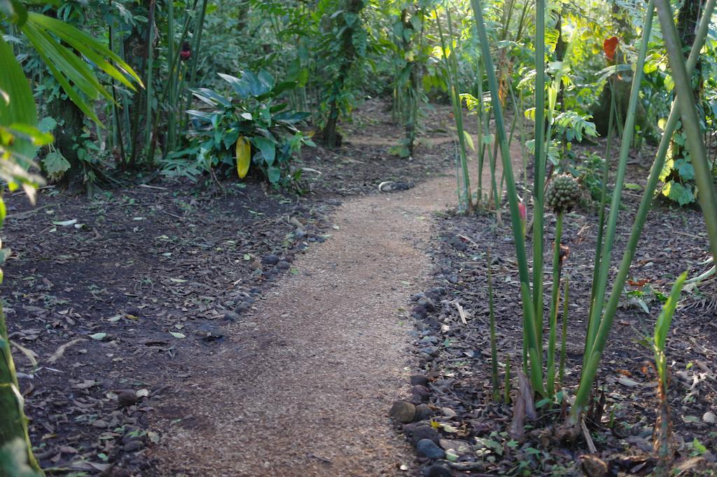 Finca Verde Lodge Bujagua Buitenkant foto