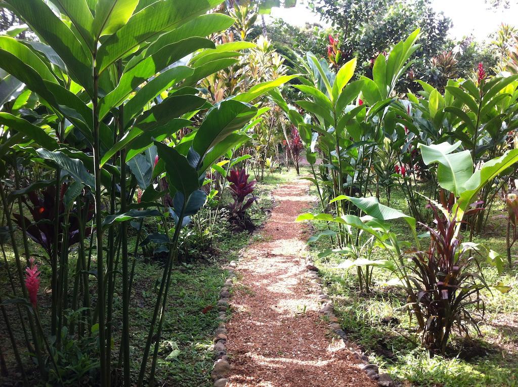 Finca Verde Lodge Bujagua Buitenkant foto