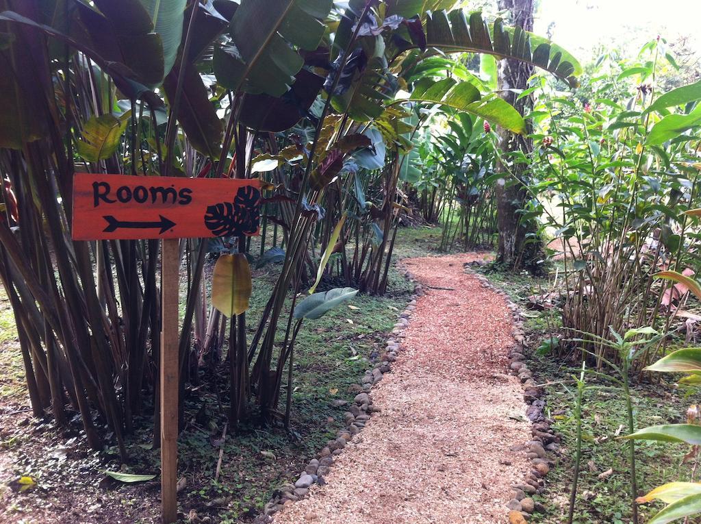 Finca Verde Lodge Bujagua Buitenkant foto
