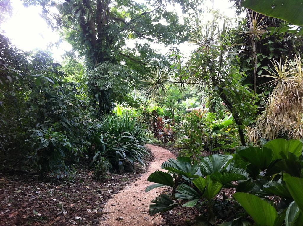 Finca Verde Lodge Bujagua Buitenkant foto