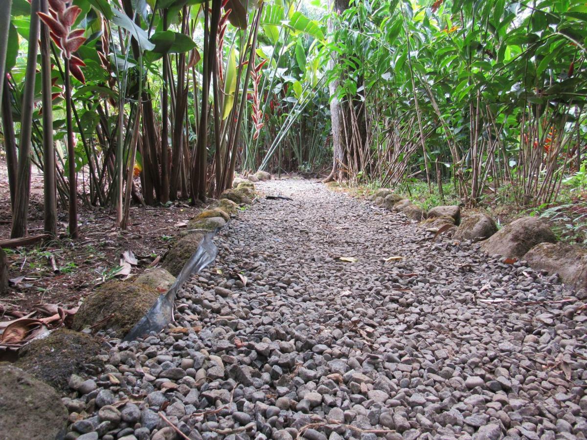 Finca Verde Lodge Bujagua Buitenkant foto