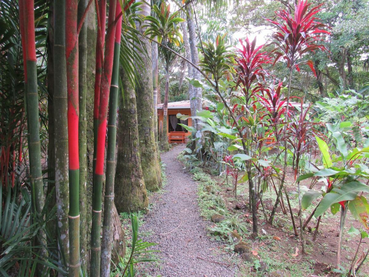 Finca Verde Lodge Bujagua Buitenkant foto