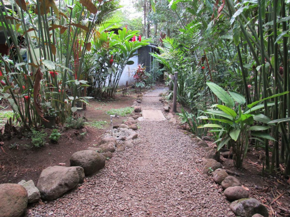 Finca Verde Lodge Bujagua Buitenkant foto