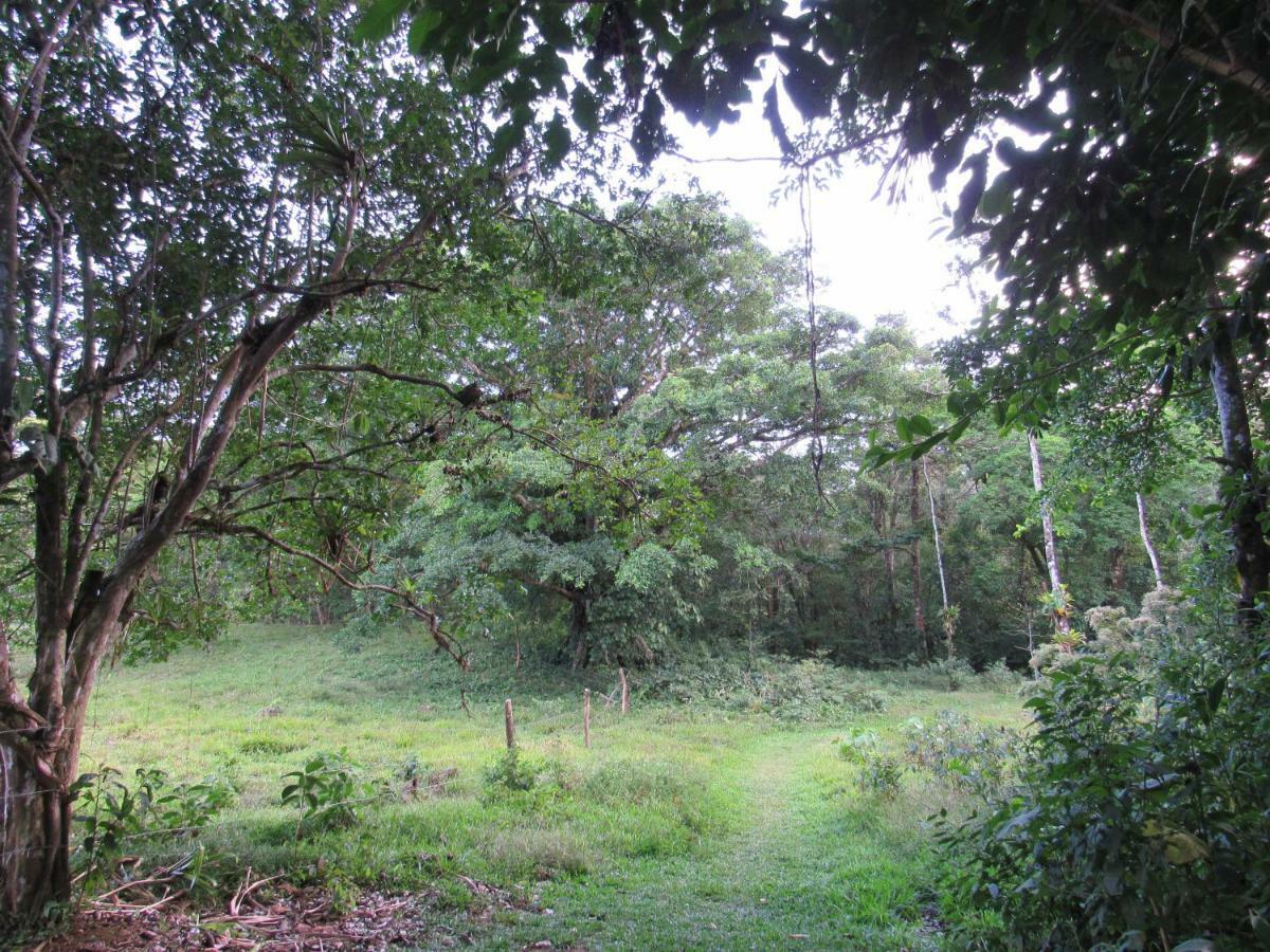 Finca Verde Lodge Bujagua Buitenkant foto