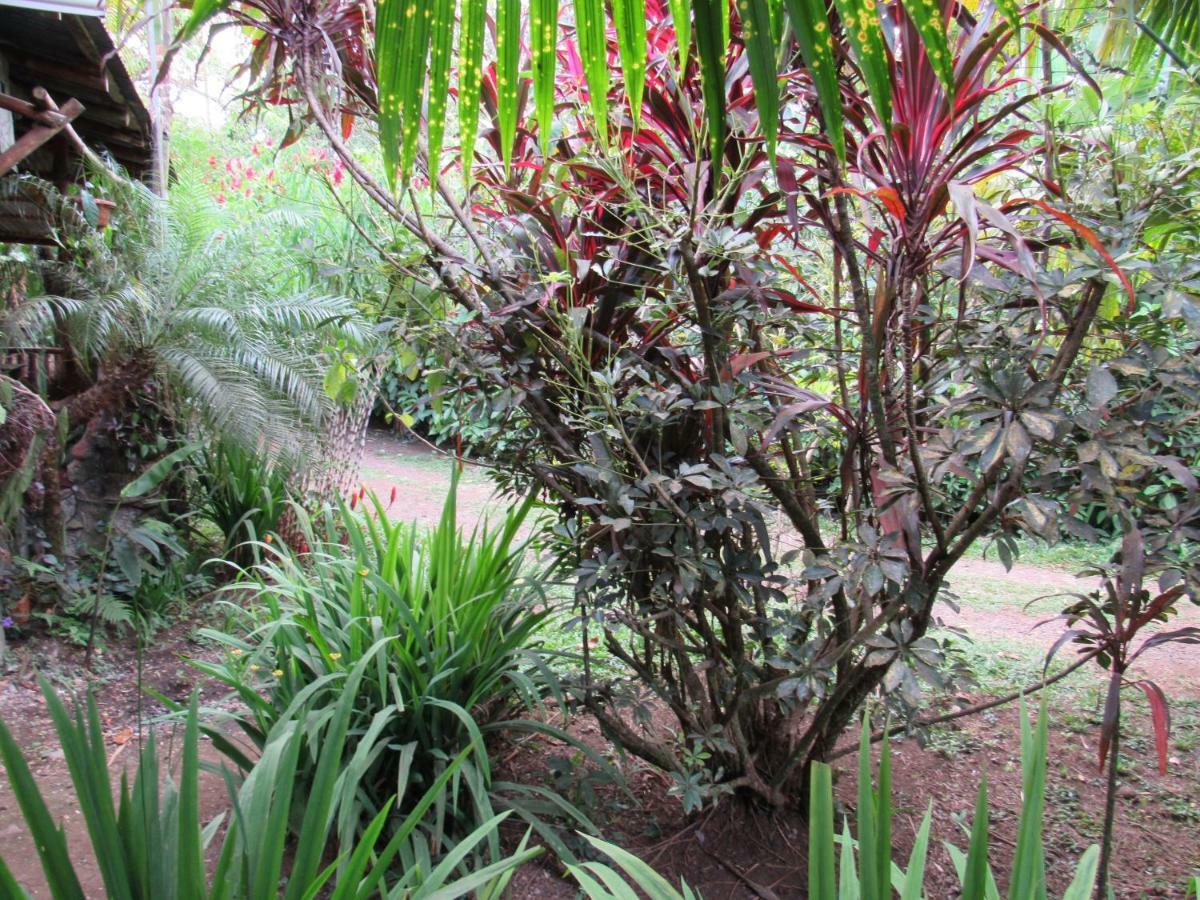 Finca Verde Lodge Bujagua Buitenkant foto