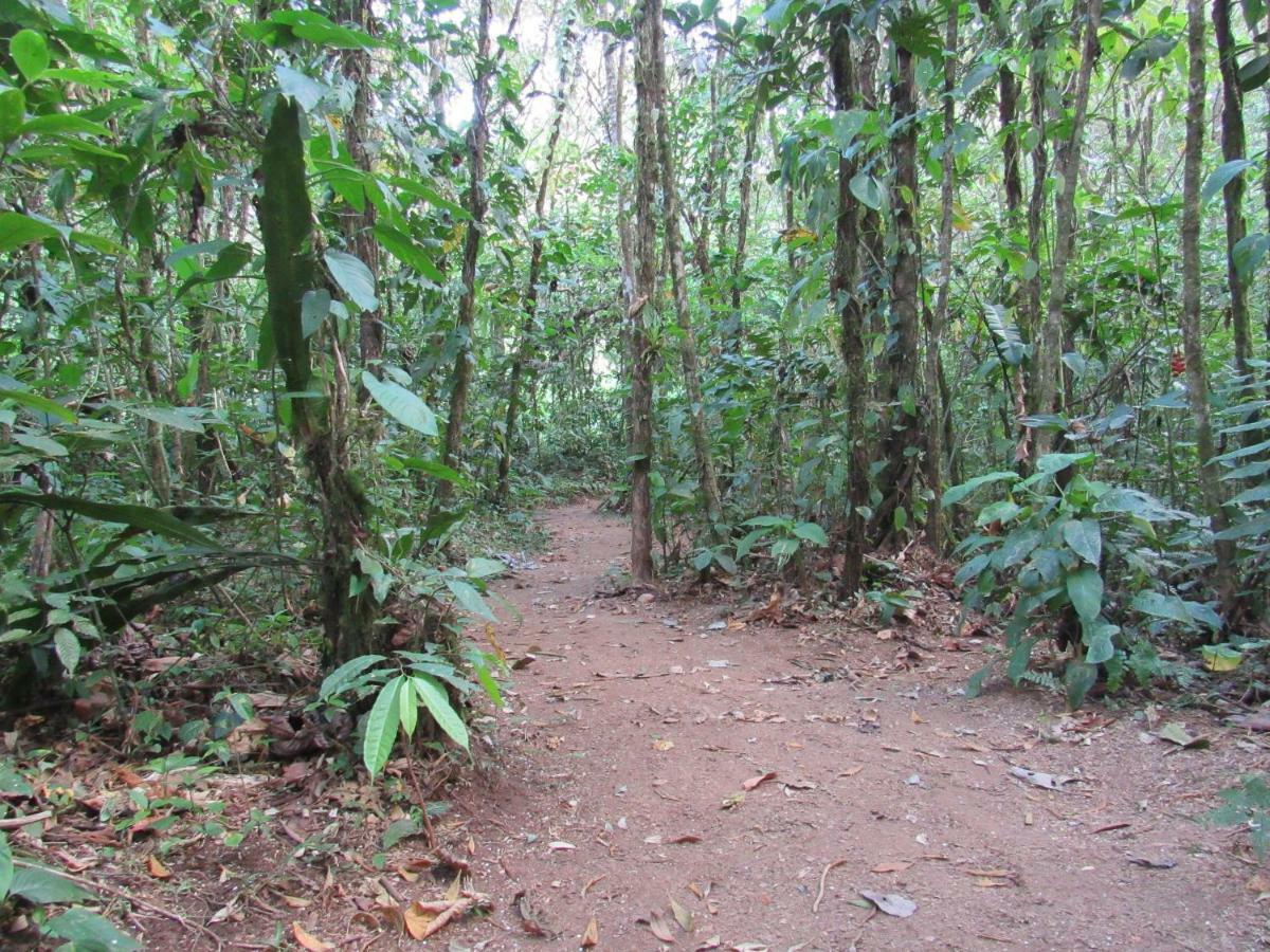 Finca Verde Lodge Bujagua Buitenkant foto